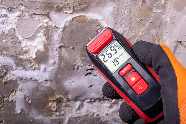 Best Best Mold Removal Companies  in Stanford, CA